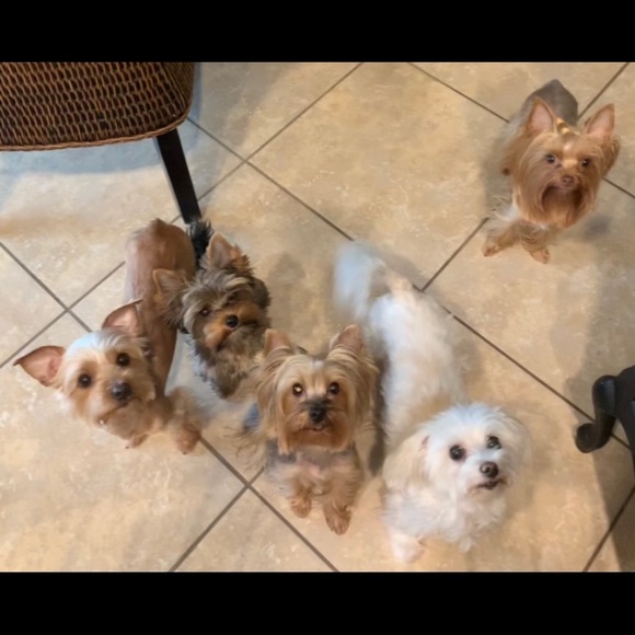 Meet your Posher, Laura! - Picture 7 of 8